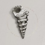 Restoring Force